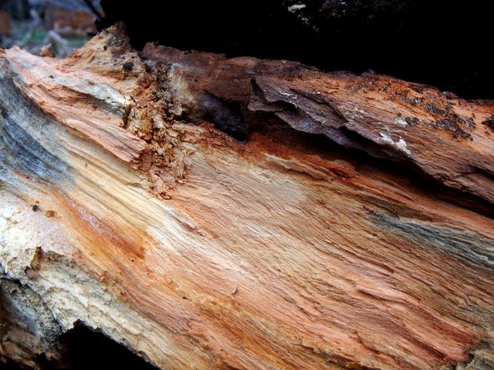 Yanosh Racz photofolio - Shadows of the Light - PhotoGraphy